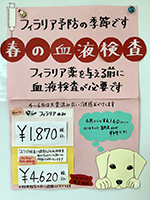 フィラリア予防のお知らせ